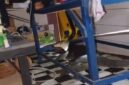 insiden seekor biawak besar yang masuk ke dalam rumah warga dan memangsa dua ekor anak kucing | f. Red