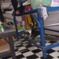insiden seekor biawak besar yang masuk ke dalam rumah warga dan memangsa dua ekor anak kucing | f. Red