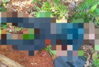 Pria diketahui bernama Suparman, 51 tahun, seorang petani yang berdomisili di Jalan Garuda, RT 001 RW 007, Kelurahan Sungai Lumpur, Kecamatan Singkep ditemukan tak bernyawa di hutan Desa Musai | f. Red