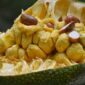 Buah cempedak, yang kerap dianggap mirip dengan nangka, ternyata menyimpan segudang manfaat bagi kesehatan tubuh | f. Istimewa