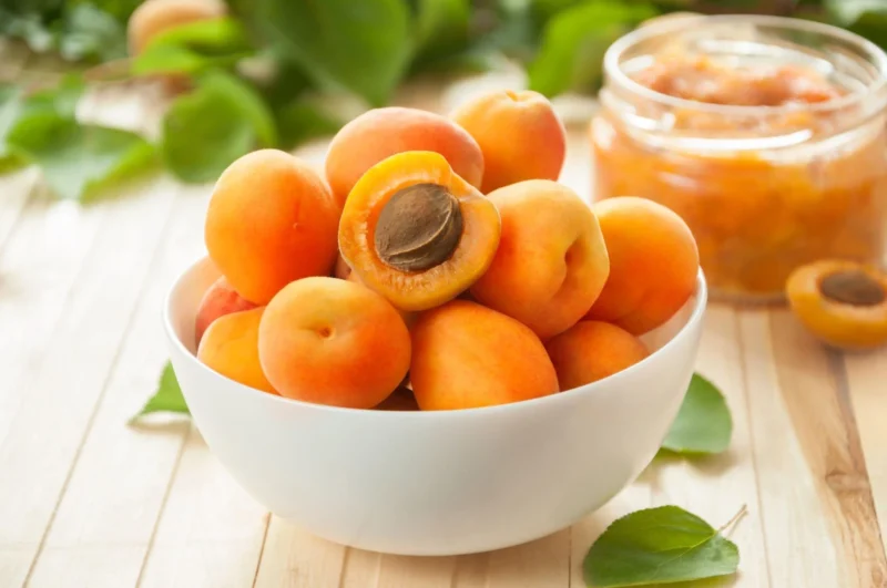 Aprikot (Prunus armeniaca) dikenal memiliki tekstur lembut dan rasa manis sedikit asam yang menyegarkan | f. Red