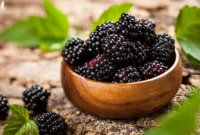 Buah BlackBerry | f. Vinut