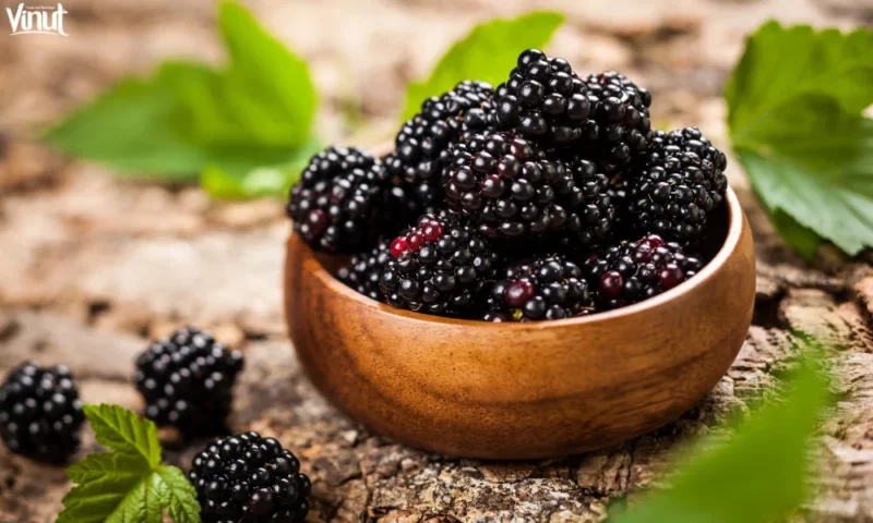 Buah BlackBerry | f. Vinut