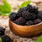 Buah BlackBerry | f. Vinut