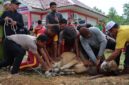 Polres Lingga Laksanakan Pemotongan Hewan Kurban pada Idul Adha 1446 H Tahun 2025 | f. Humas Polres Lingga