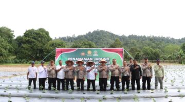 Polres Lingga Turun ke Lahan: Tanam Jagung Serentak Dukung Ketahanan Pangan Nasional | f. Red