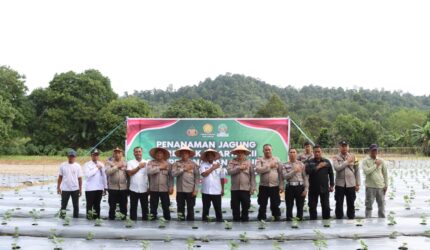 Polres Lingga Turun ke Lahan: Tanam Jagung Serentak Dukung Ketahanan Pangan Nasional | f. Red