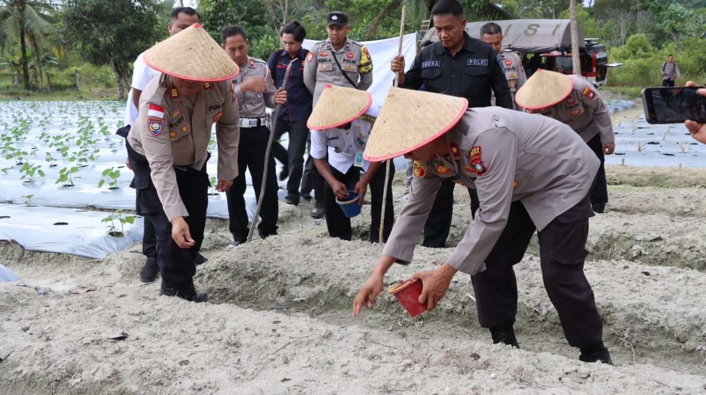 Polres Lingga Turun ke Lahan: Tanam Jagung Serentak Dukung Ketahanan Pangan Nasional | f. Red