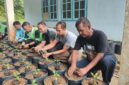 Tanam Cabai, Petik Kemandirian! ASN Singkep Barat Kompak Dukung Ketahanan Pangan | f. Red