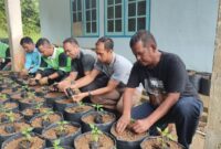 Tanam Cabai, Petik Kemandirian! ASN Singkep Barat Kompak Dukung Ketahanan Pangan | f. Red