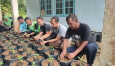 Tanam Cabai, Petik Kemandirian! ASN Singkep Barat Kompak Dukung Ketahanan Pangan | f. Red