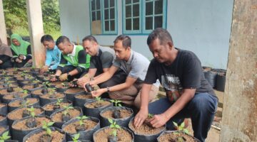 Tanam Cabai, Petik Kemandirian! ASN Singkep Barat Kompak Dukung Ketahanan Pangan | f. Red