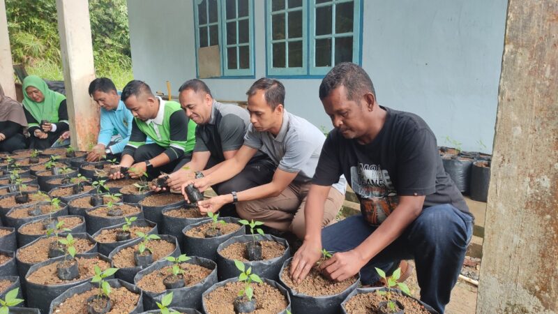 Tanam Cabai, Petik Kemandirian! ASN Singkep Barat Kompak Dukung Ketahanan Pangan | f. Red