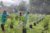 Lahan Kosong Disulap Jadi Kebun Cabai: Singkep Barat Panen Perdana 22 Kilogram Cabai Rawit | f. Red