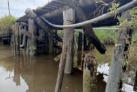 Jembatan Hampir Roboh di Desa Tinjul, Warga Mendesak Pemkab Lingga Segera Lakukan Perbaikan | f. Red