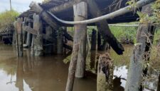 Jembatan Hampir Roboh di Desa Tinjul, Warga Mendesak Pemkab Lingga Segera Lakukan Perbaikan | f. Red