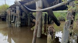 Jembatan Hampir Roboh di Desa Tinjul, Warga Mendesak Pemkab Lingga Segera Lakukan Perbaikan | f. Red