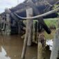 Jembatan Hampir Roboh di Desa Tinjul, Warga Mendesak Pemkab Lingga Segera Lakukan Perbaikan | f. Red