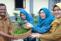 Suasana halaman kantor Disperindagkop UKM Kabupaten Lingga mendadak semarak pada Senin (29/9/2025), saat Bupati Lingga M. Nizar bersama Ketua TP PKK Lingga, Maratusholiha Nizar, melakukan panen perdana 300 pohon cabe rawit | f. Wandy