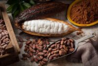 Buah cokelat atau kakao | f. Red