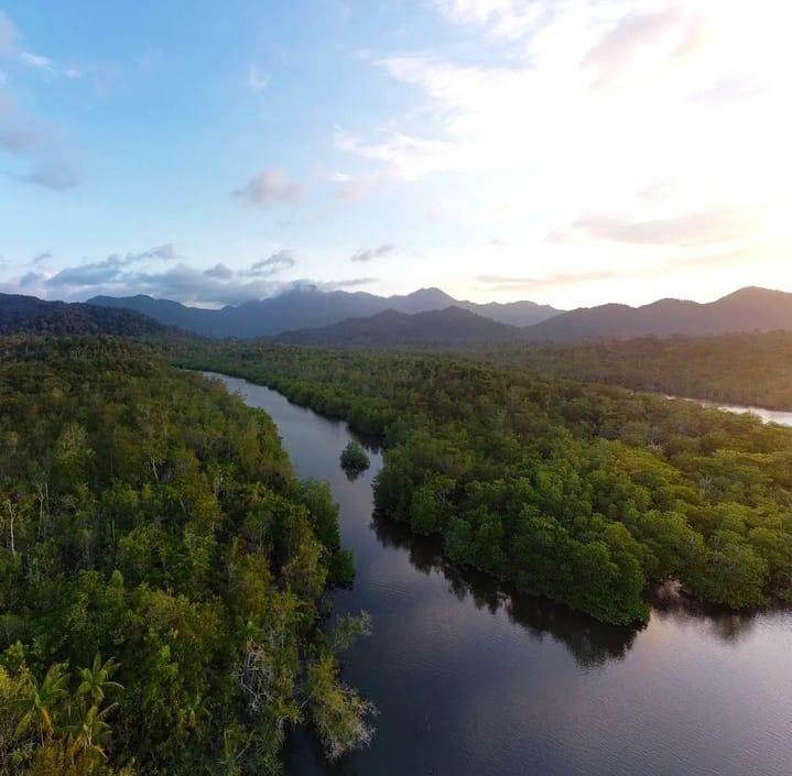 kawasan hutan mangrove Desa Resun, Kabupaten Lingga | f. Istimewa