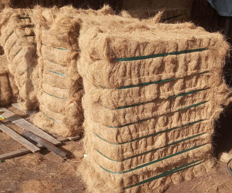 Cocofiber | f. Istimewa