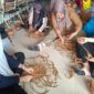 IKM Lingga Sulap Sabut Kelapa Jadi Produk Bernilai Ekspor, Dorong Ekonomi Daerah | f. Redaksi