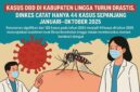 Penurunan signifikan dari 102 kasus pada tahun 2024 menjadi 44 kasus di tahun 2025 menunjukkan komitmen kuat Dinas Kesehatan Lingga dalam memberantas demam berdarah dengue (DBD) | f. Ilustrasi Redaksi