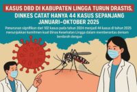 Penurunan signifikan dari 102 kasus pada tahun 2024 menjadi 44 kasus di tahun 2025 menunjukkan komitmen kuat Dinas Kesehatan Lingga dalam memberantas demam berdarah dengue (DBD) | f. Ilustrasi Redaksi