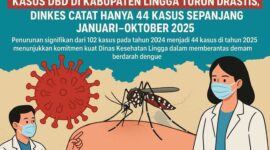 Penurunan signifikan dari 102 kasus pada tahun 2024 menjadi 44 kasus di tahun 2025 menunjukkan komitmen kuat Dinas Kesehatan Lingga dalam memberantas demam berdarah dengue (DBD) | f. Ilustrasi Redaksi