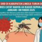Penurunan signifikan dari 102 kasus pada tahun 2024 menjadi 44 kasus di tahun 2025 menunjukkan komitmen kuat Dinas Kesehatan Lingga dalam memberantas demam berdarah dengue (DBD) | f. Ilustrasi Redaksi