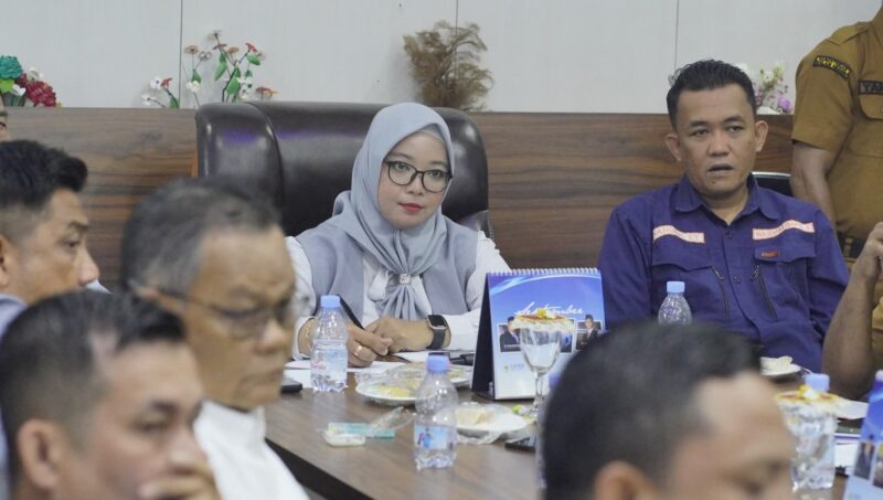 Ketua DPRD Lingga Pimpin Audiensi Bersama SPSI dan Penambang Timah, Bahas Solusi Atas Krisis Lapangan Kerja di Daerah | f. Diskominfo Lingga