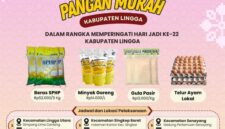 Gerakan Pangan Murah Digelar di 13 Kecamatan, Sambut Hari Jadi ke-22 Kabupaten Lingga | f. Diskominfo Lingga