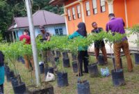 Hebat! Kecamatan Singkep Barat Kembali Panen Cabai Rawit 26 Kg, Bukti Nyata Ketahanan Pangan yang Menginspirasi | f. Redaksi