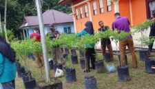 Hebat! Kecamatan Singkep Barat Kembali Panen Cabai Rawit 26 Kg, Bukti Nyata Ketahanan Pangan yang Menginspirasi | f. Redaksi