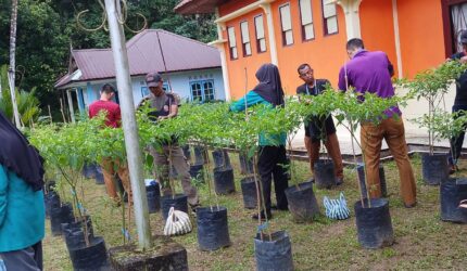 Hebat! Kecamatan Singkep Barat Kembali Panen Cabai Rawit 26 Kg, Bukti Nyata Ketahanan Pangan yang Menginspirasi | f. Redaksi