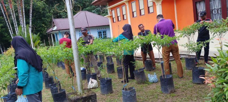 Hebat! Kecamatan Singkep Barat Kembali Panen Cabai Rawit 26 Kg, Bukti Nyata Ketahanan Pangan yang Menginspirasi | f. Redaksi