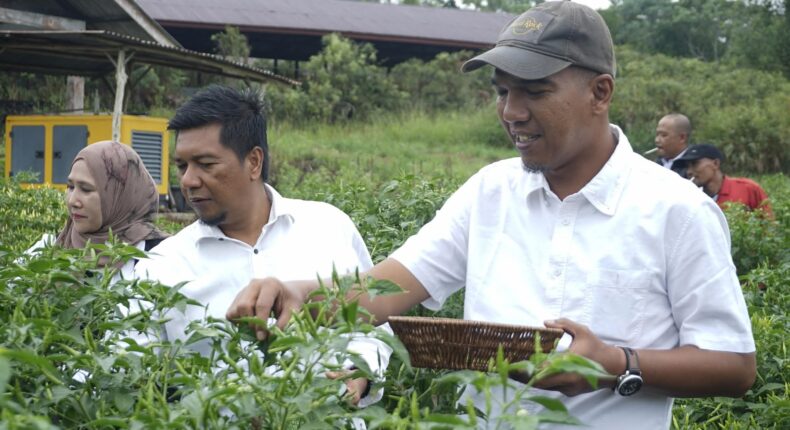 foto slider headline