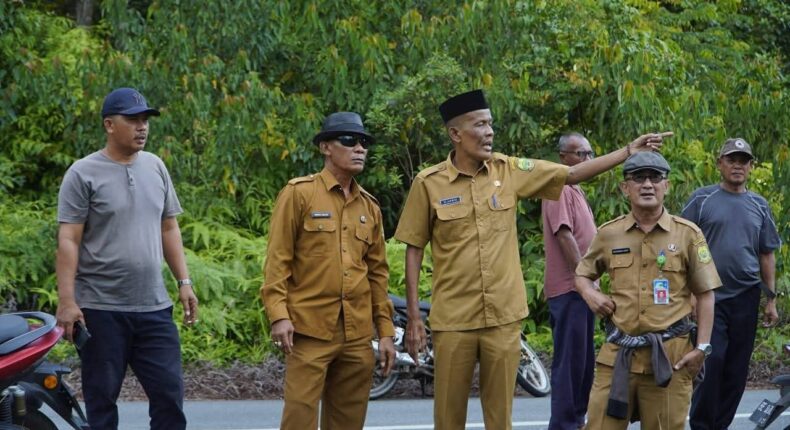 foto slider headline