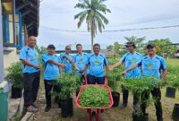 Fantastis! Disperindagkop UMKM Lingga Catat Panen ke-5 Cabai Rawit Mencapai 60 Kg | f. Redaksi