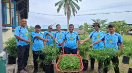 Fantastis! Disperindagkop UMKM Lingga Catat Panen ke-5 Cabai Rawit Mencapai 60 Kg | f. Redaksi