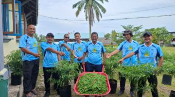 Fantastis! Disperindagkop UMKM Lingga Catat Panen ke-5 Cabai Rawit Mencapai 60 Kg | f. Redaksi