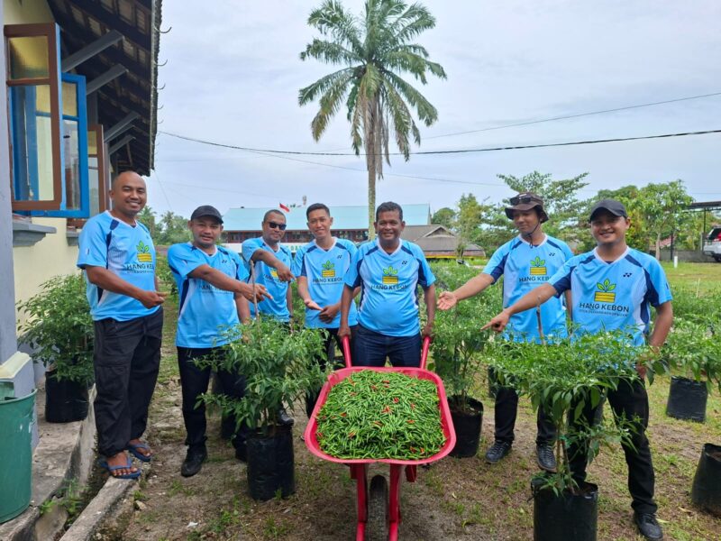Fantastis! Disperindagkop UMKM Lingga Catat Panen ke-5 Cabai Rawit Mencapai 60 Kg | f. Redaksi