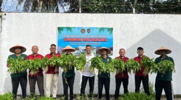 Warga Binaan Lapas Dabo Singkep Ubah Lahan Kosong Jadi Kebun Kangkung Produktif, Panen 100 Ikat per Hari | f. Redaksi