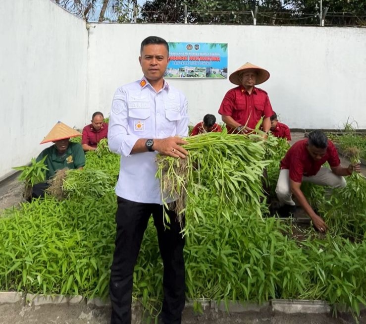 Warga Binaan Lapas Dabo Singkep Ubah Lahan Kosong Jadi Kebun Kangkung Produktif, Panen 100 Ikat per Hari | f. Redaksi