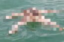 Warga Pulau Lalang Heboh, Sesosok Mayat Pria Ditemukan Mengapung di Laut | f. Red