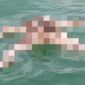 Warga Pulau Lalang Heboh, Sesosok Mayat Pria Ditemukan Mengapung di Laut | f. Red
