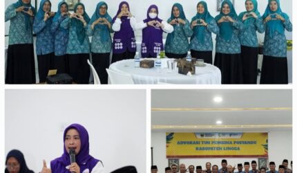 Maratusholiha Nizar Dorong Penguatan Posyandu Lingga Lewat Advokasi Lintas Sektor di Dabo Singkep | f. Diskominfo Lingga