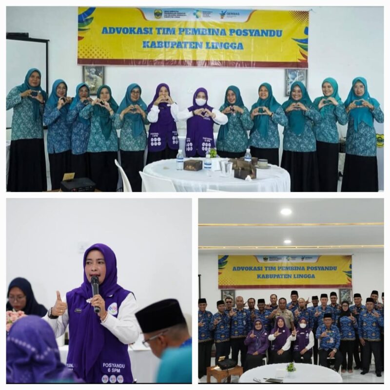 Maratusholiha Nizar Dorong Penguatan Posyandu Lingga Lewat Advokasi Lintas Sektor di Dabo Singkep | f. Diskominfo Lingga
