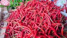 Komoditi bahan pokok di pasar Dabo Singkep terpantau stabil | f. Redaksi